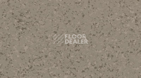 Линолеум Gerflor Mipolam Affinity 4463 Greige фото 1 | FLOORDEALER